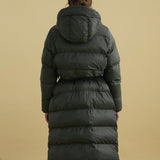 AIW22WOUT013 | Klimop