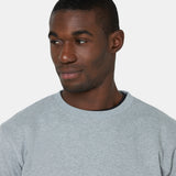 OKEMO GRAPHIC SWEATSHIRT | Grey Melange