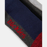 CSHN CRW SOCK | Multicolor