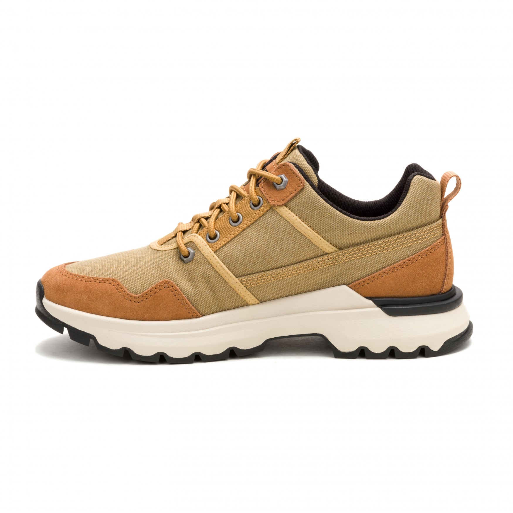 COLORADO SNEAKER LO CANVAS | Curry